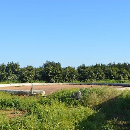 Quinta Das Figueiras Вила-Нова-де-Касела Экстерьер фото