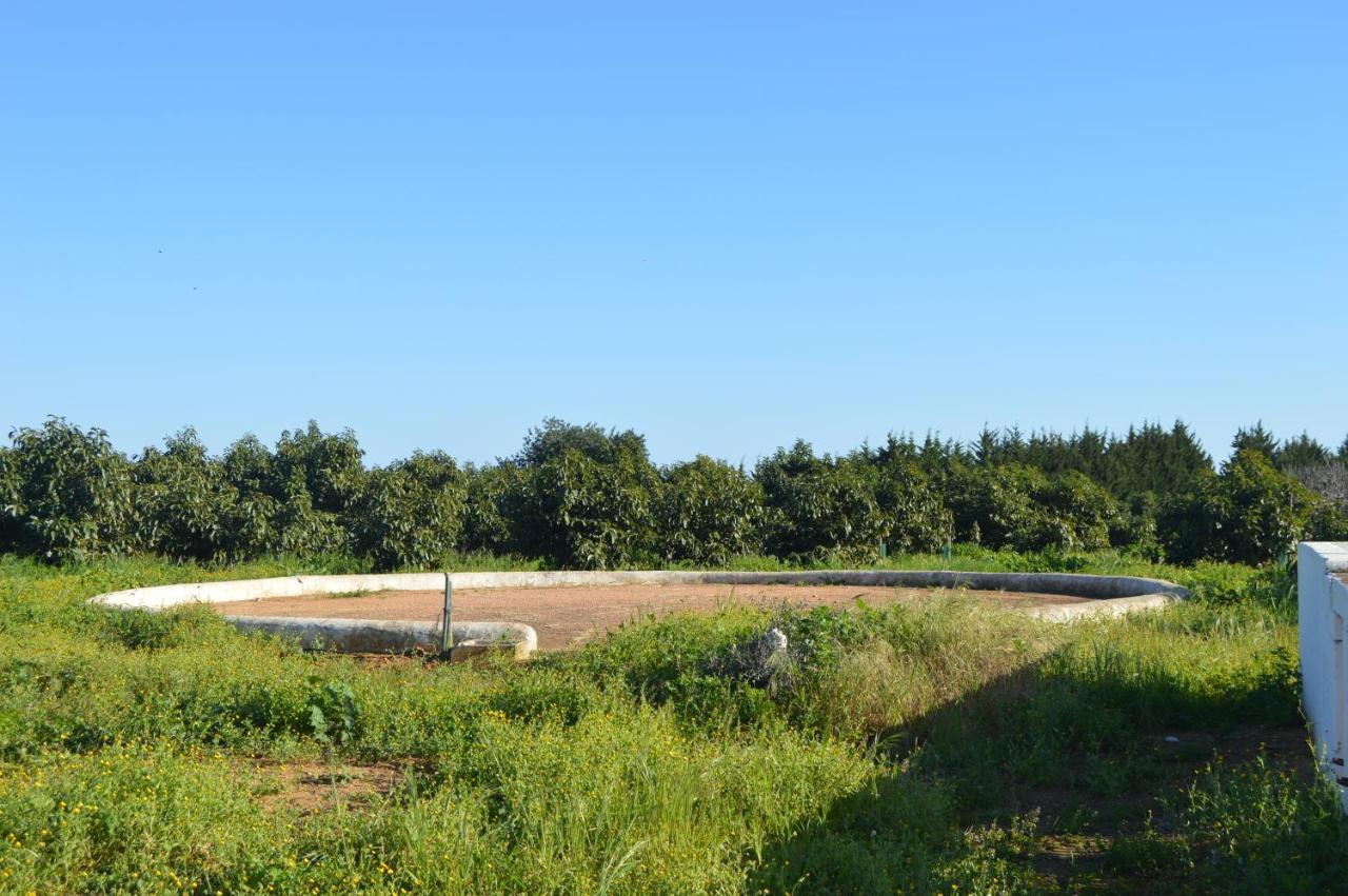 Quinta Das Figueiras Вила-Нова-де-Касела Экстерьер фото